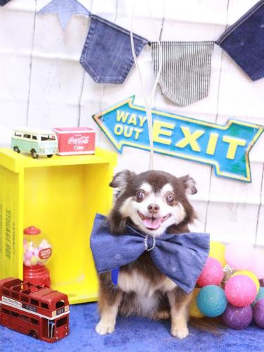 20230402ちゃこちゃん